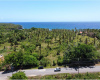 Terrenos,En Venta,1026